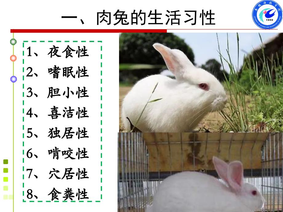 兔的饲养管理与疾病防治_第3页
