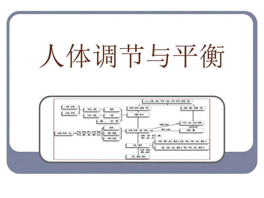 人体调节与平衡_第1页