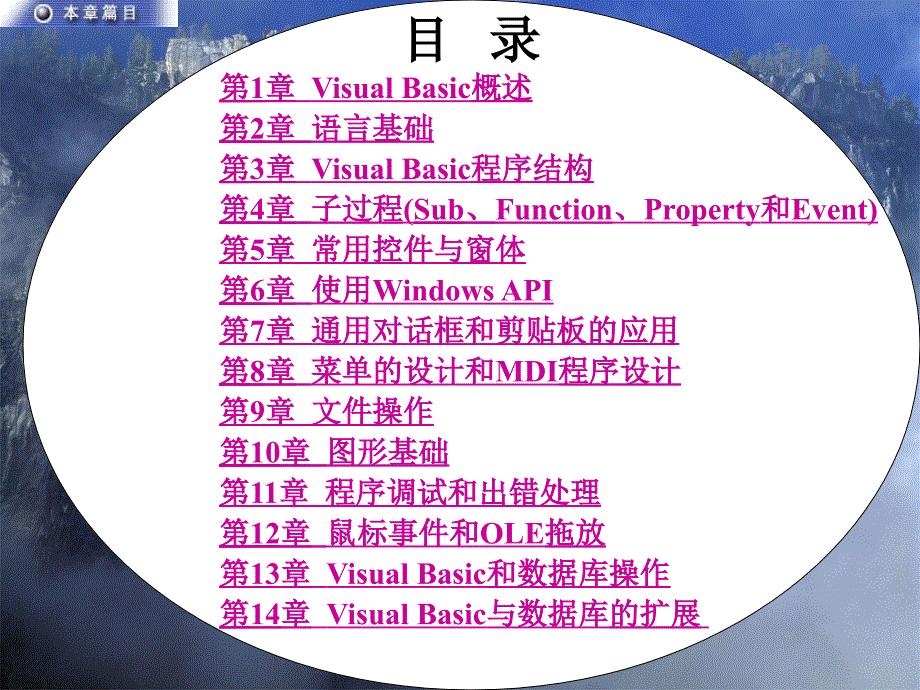 VisualBasic实用教程  薛亮 封面及目录_第2页
