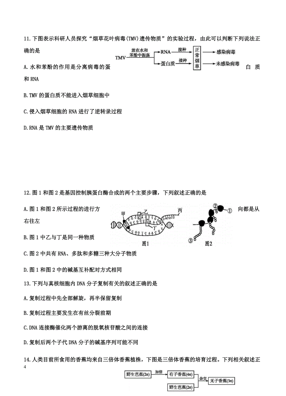 黑龙江省2018届高三上学期期中考试生物试卷含答案_第4页