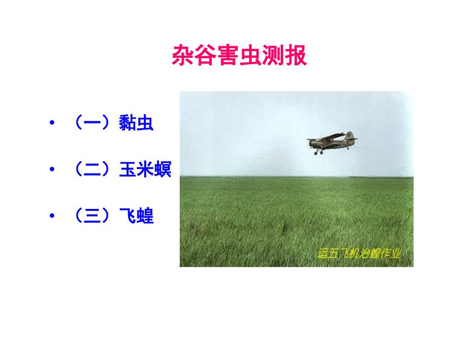 qi杂谷害虫测报.ppt_第1页