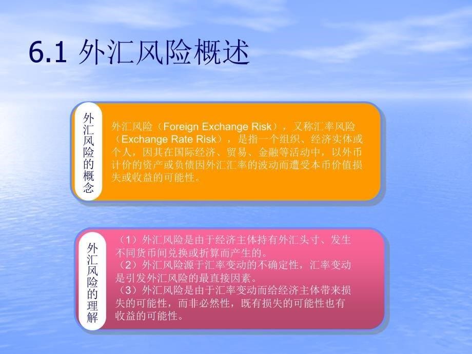 国际金融实务 教学课件 ppt 作者 978-7-302-23450-0 6 外汇风险管理_第5页