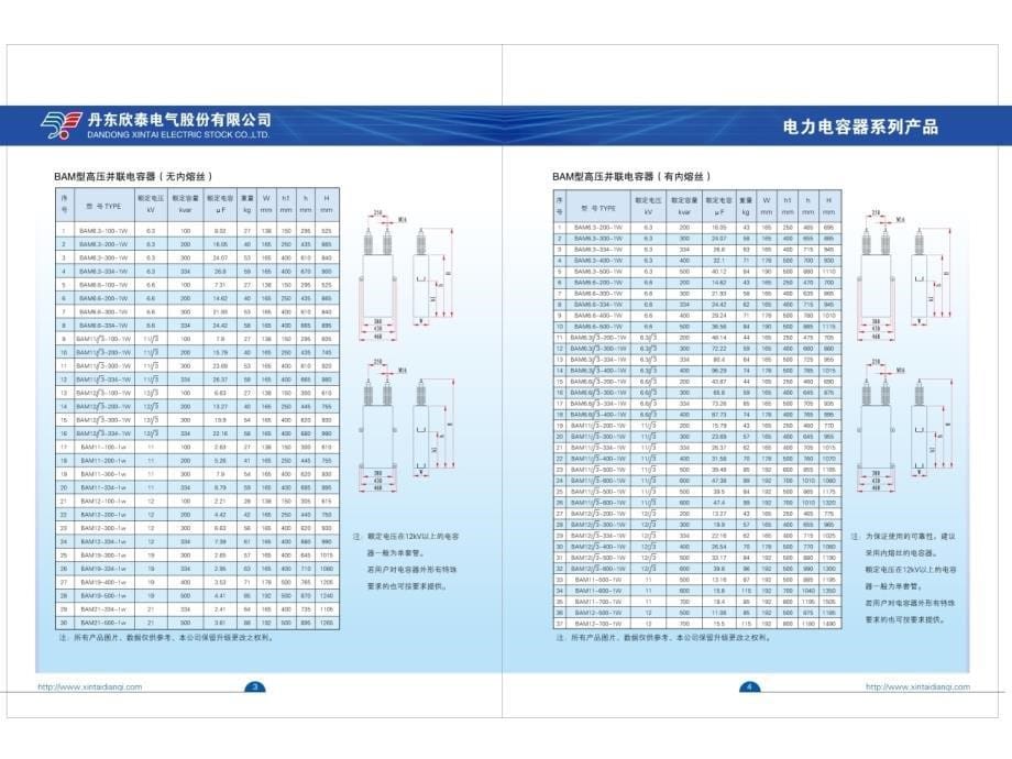 丹东欣泰电力电容器系列产品1.ppt_第5页