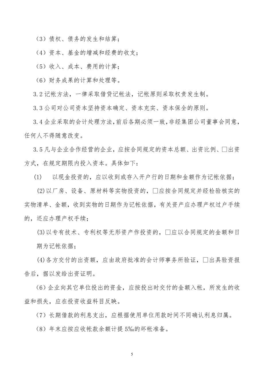 某x集团有限公司财务管理办法_第5页