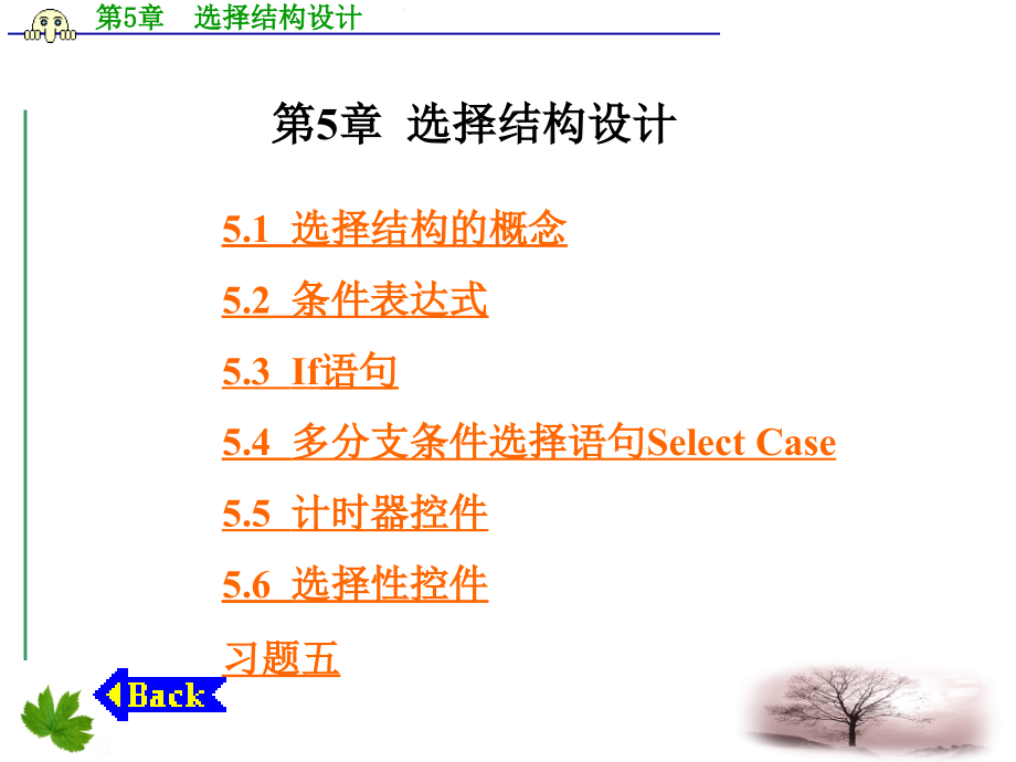 VisualBasic程序设计（第二版） 丁爱萍 第5章  选择结构设计_第1页