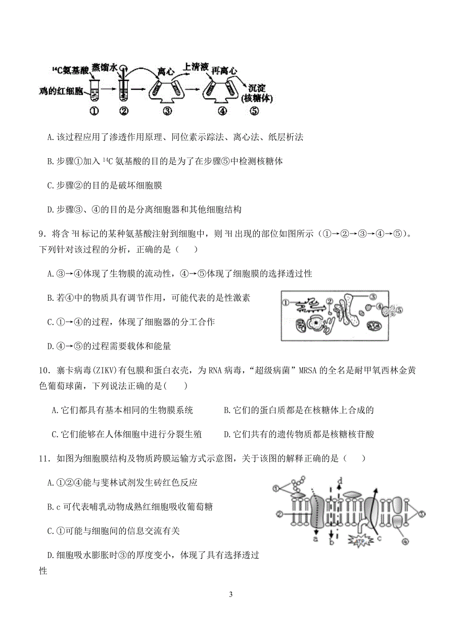 山东省2018届高三上-期中考试生物试卷含答案_第3页