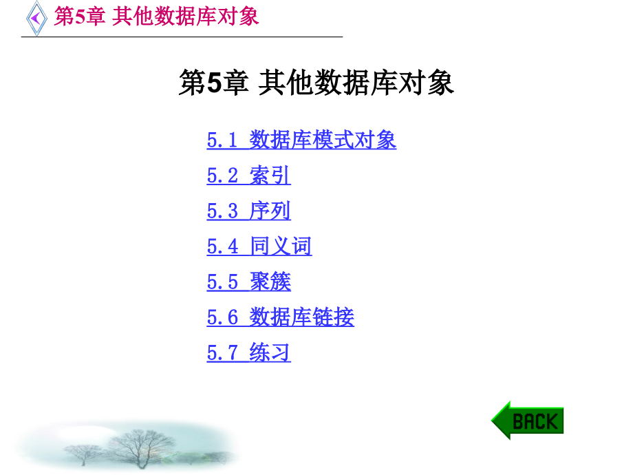 Oracle数据库SQL和PL SQL实例教程 高继民 第5章 其他数据库对象_第1页