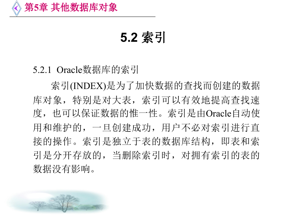 Oracle数据库SQL和PL SQL实例教程 高继民 第5章 其他数据库对象_第4页