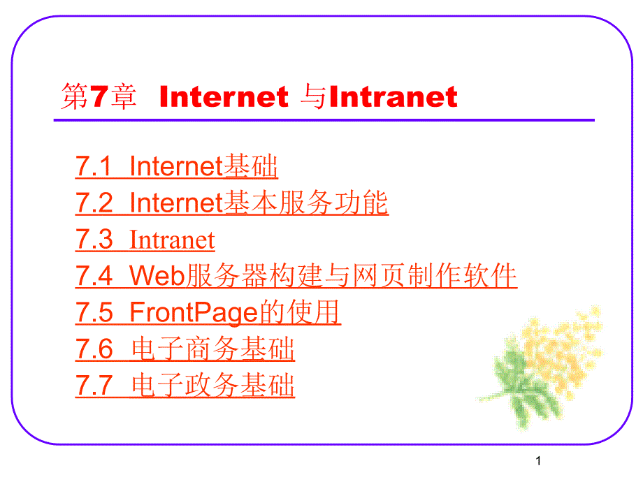 Internet基本服务功能.ppt_第1页