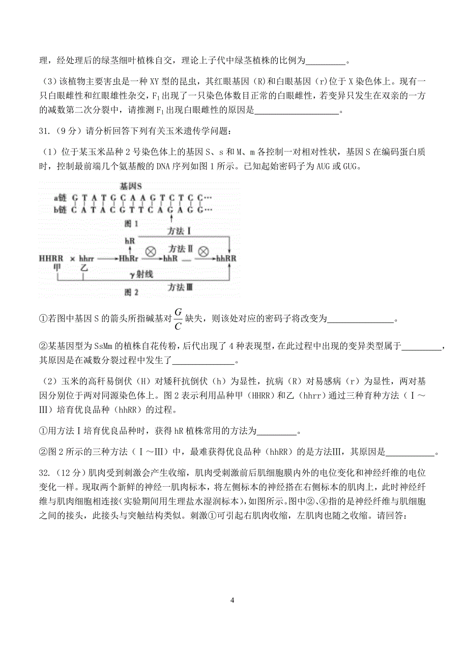 四川省成都市第七中学2018届高三上-半期考试理综生物试卷含答案_第4页