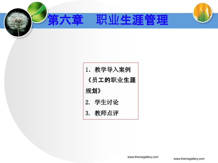 人力资源管理 教学课件 ppt 作者  吴少华 第六章 职业生涯管理_第2页