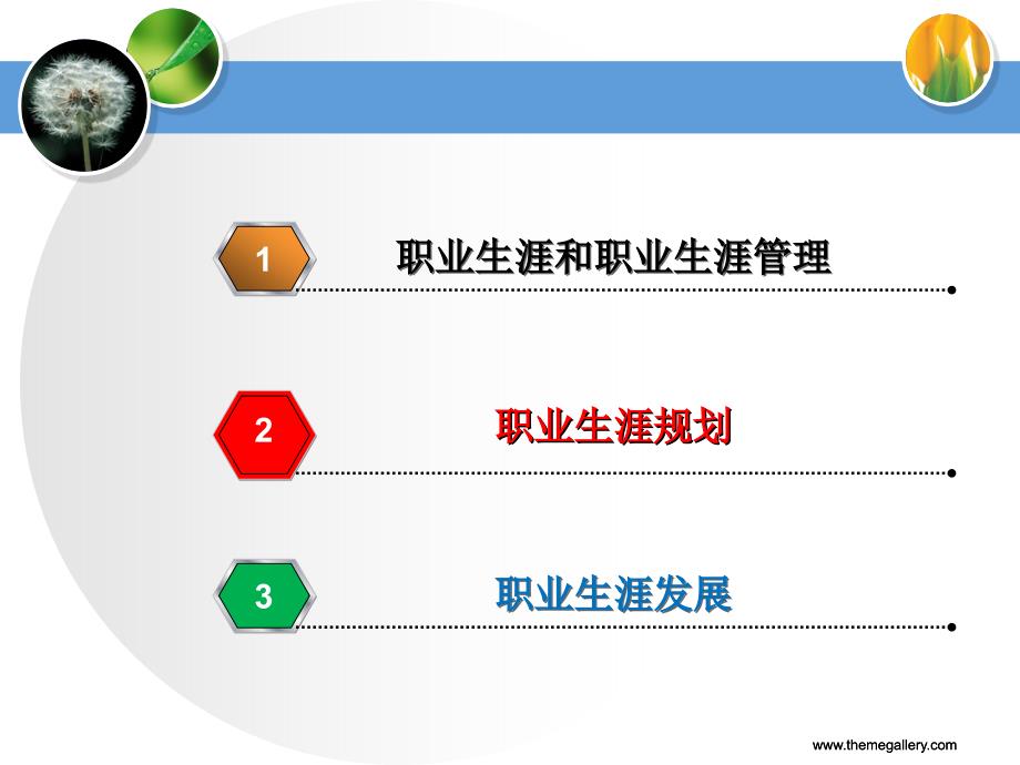 人力资源管理 教学课件 ppt 作者  吴少华 第六章 职业生涯管理_第3页