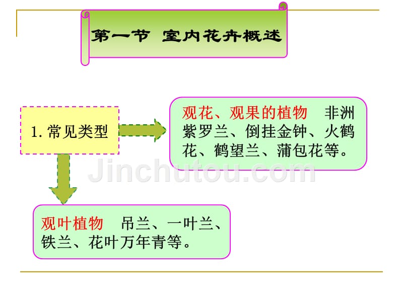 园林景观花卉学 教学课件 ppt 作者 彭东辉 第十四章室内花卉_第2页