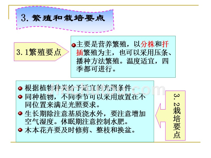 园林景观花卉学 教学课件 ppt 作者 彭东辉 第十四章室内花卉_第4页