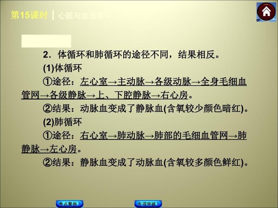 心脏与血液循环(16张)_第5页