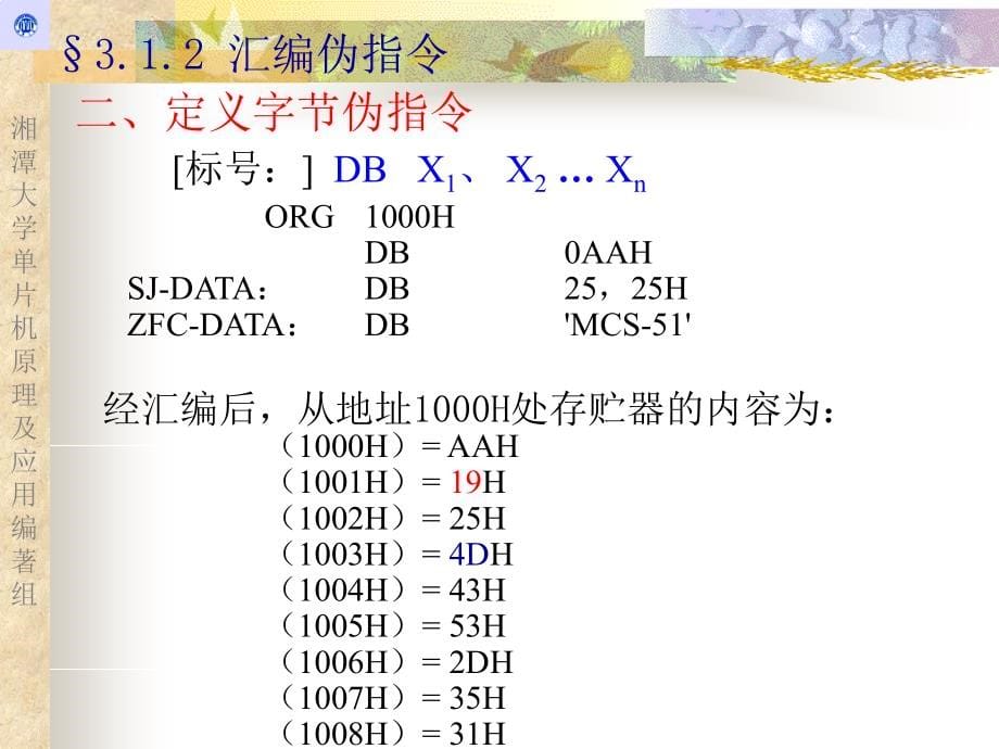 单片机原理及应用 教学课件 ppt 作者  杨恢先 黄辉先 第三章_第5页