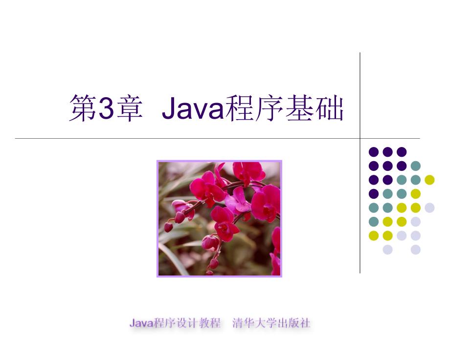 Java程序设计教程 教学课件 ppt 作者  978-7-302-18214-6 第3章-Java程序基础_第1页