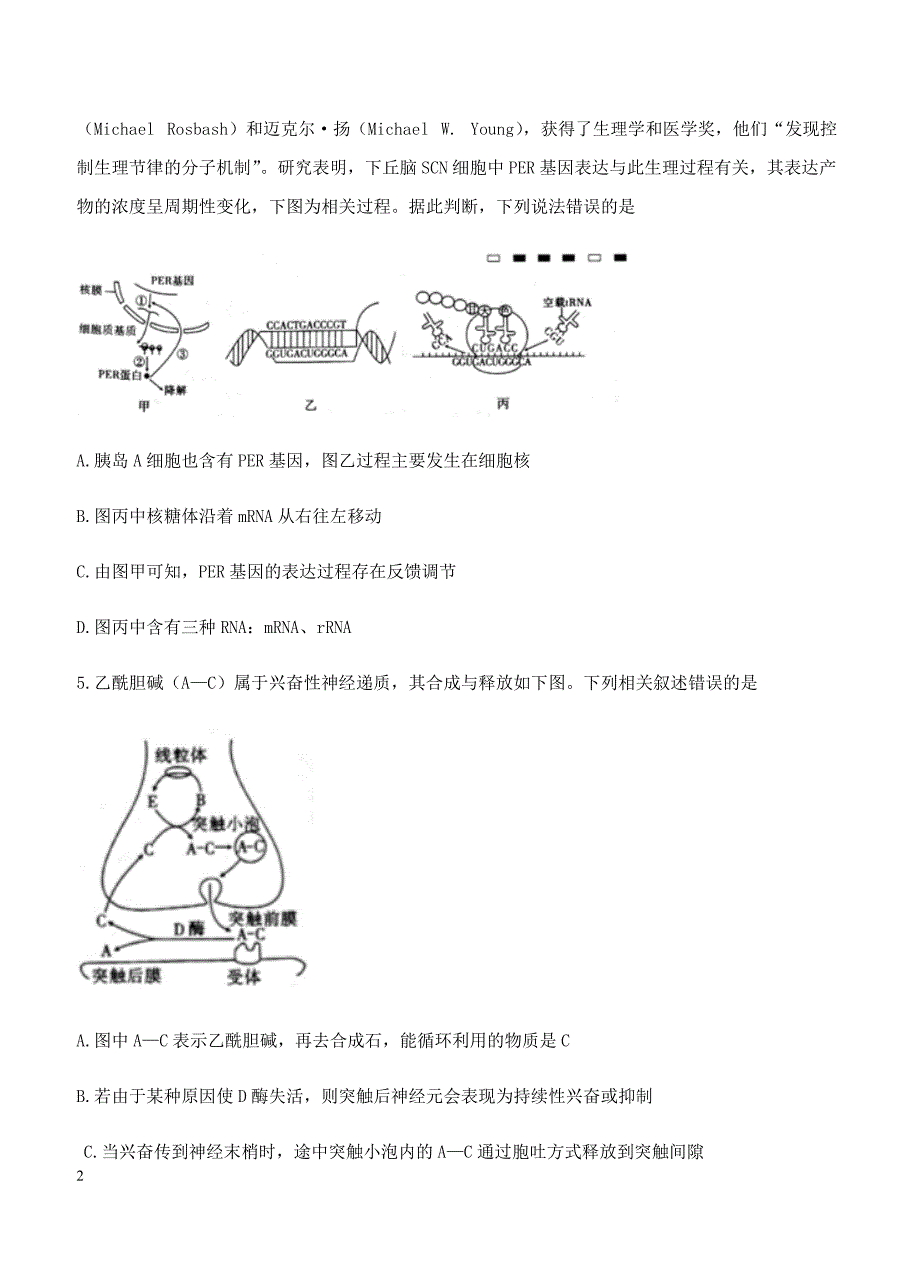 云南省2018届高考适应性月考（四）理综生物试卷 含答案_第2页