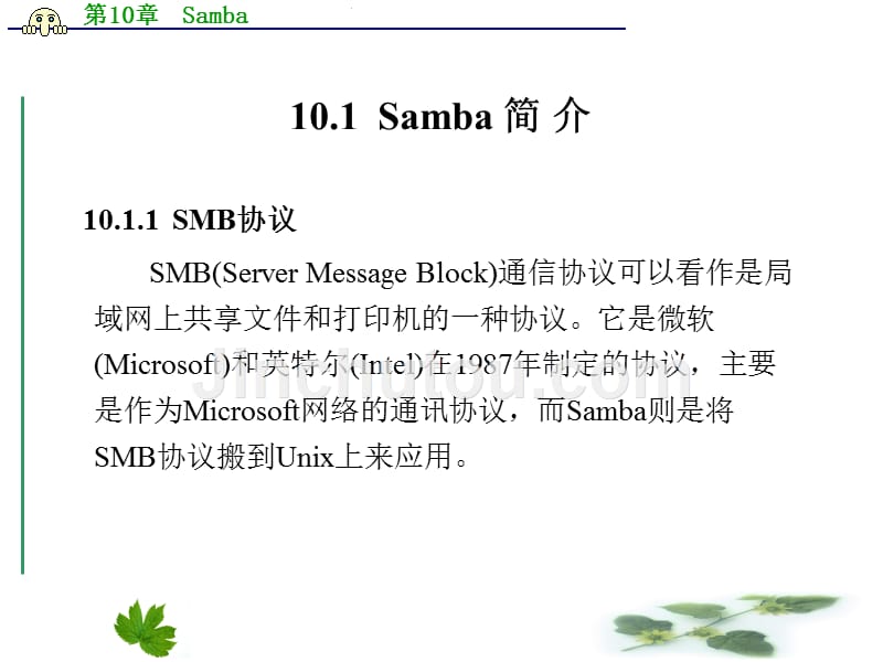 linux操作系统实用教程   梁广民 第10章  Samba_第2页