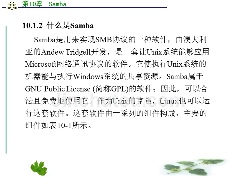 linux操作系统实用教程   梁广民 第10章  Samba_第4页