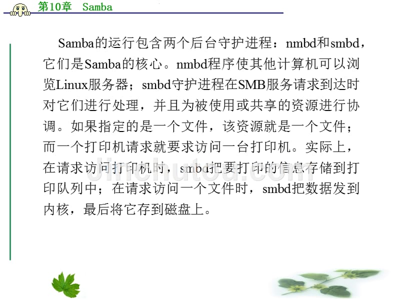 linux操作系统实用教程   梁广民 第10章  Samba_第5页