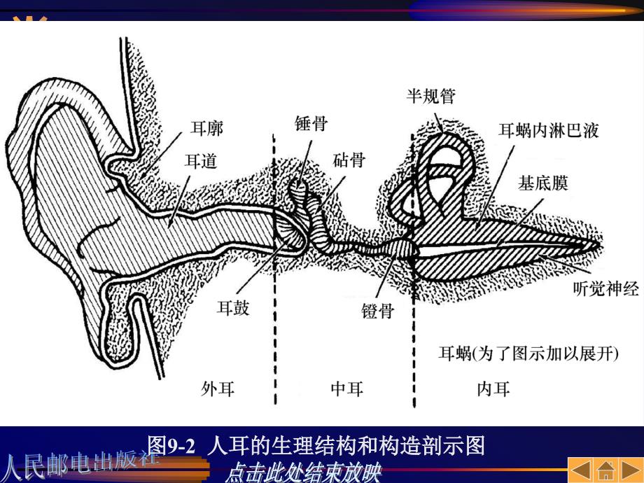 数字电视原理与应用 教学课件 ppt 作者  姜秀华 第09章_第4页