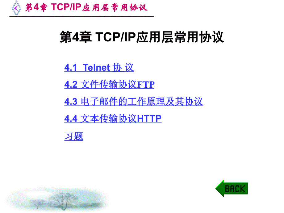 TCP IP协议与网络编程 任泰明 第4章 TCP应用层常用协议_第1页