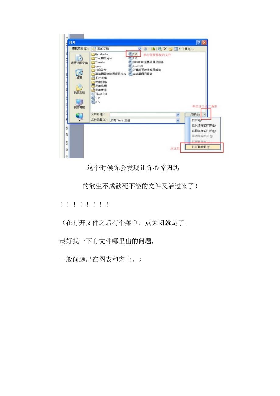 word恢复文本转换器-修复选坏的word文件具体解决方案－精品完整版_第3页