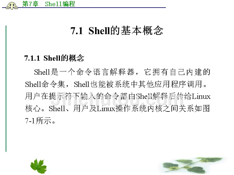 linux操作系统实用教程   梁广民 第7章  Shell编程_第2页