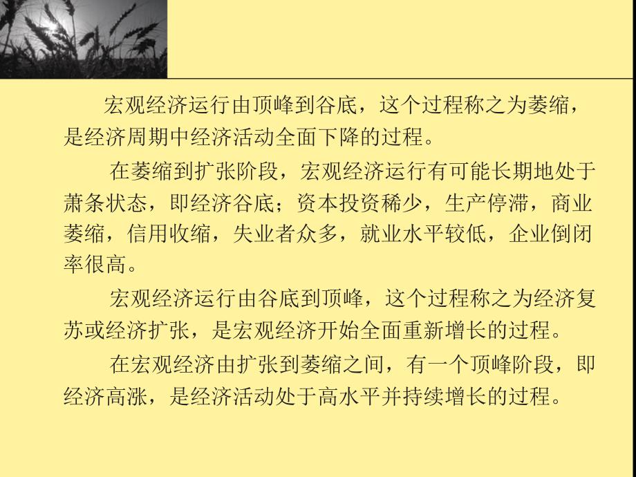 政府经济管理学  教学课件 ppt 作者 何祥舟(5)_第4页