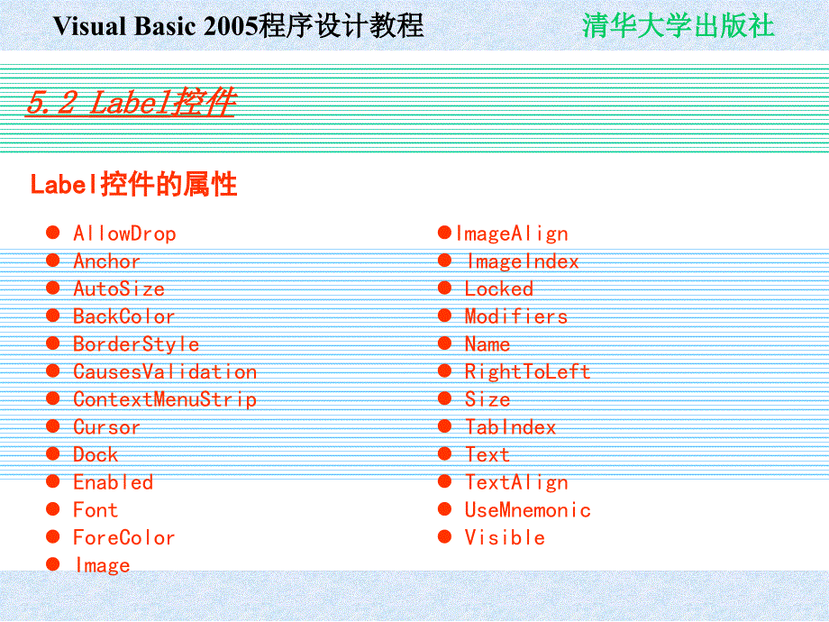 Visual Basic 2005程序设计教程 教学课件 ppt 作者 978-7-302-19476-7 chap05_第4页