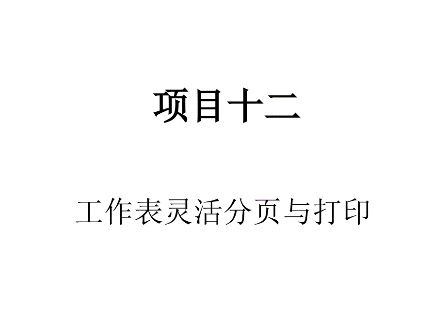 Excel 2003实用教程 项目教学  教学课件 PPT 作者 于爱卿 邓居英 项目12_第1页