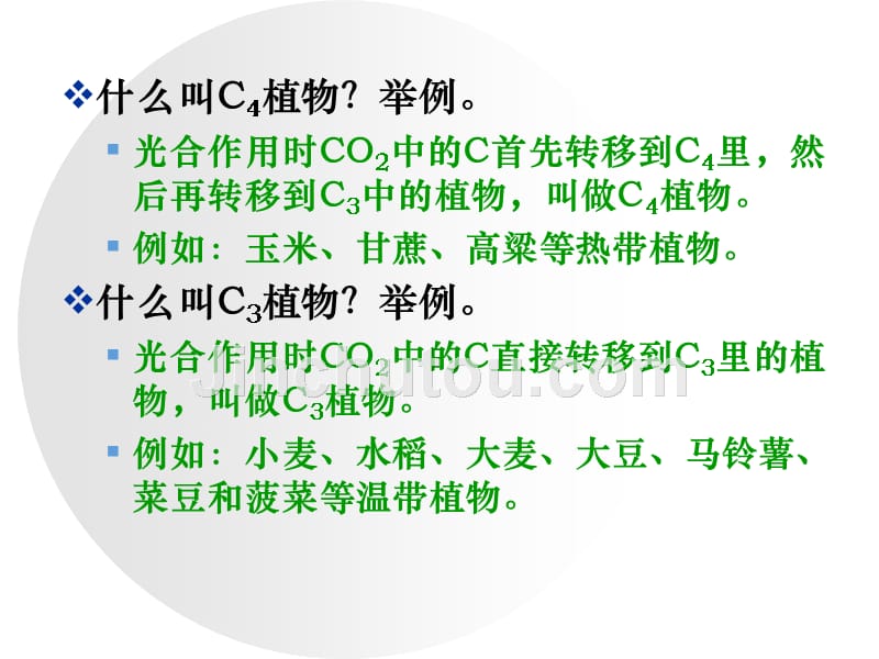 c3植物和c4植物及光呼吸_第1页