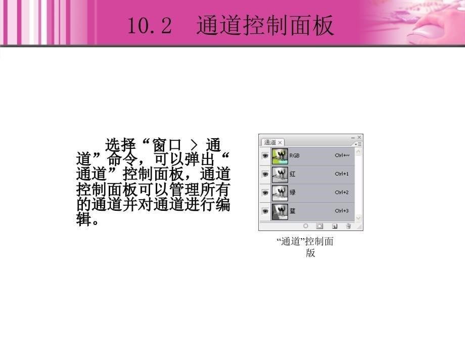 Photoshop CS3中文版图像处理基础教程 1CD  教学课件 ppt 崔英敏 10_第5页