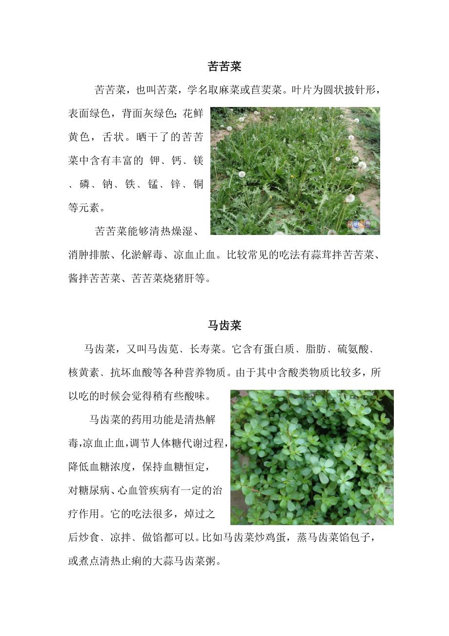 十种野菜_百病克星_第3页