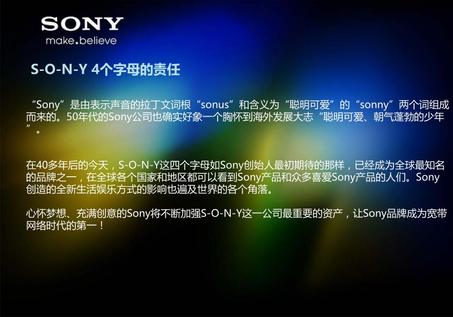 跨国sony分析_第3页