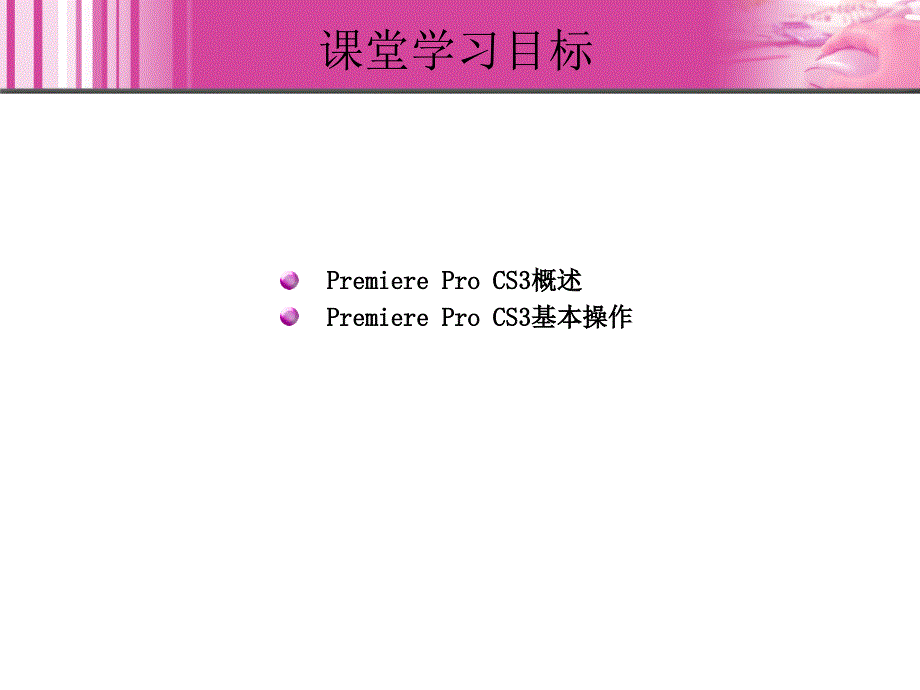 Premiere Pro CS3实例教程 1DVD  教学课件 ppt 邬厚民 01_第3页