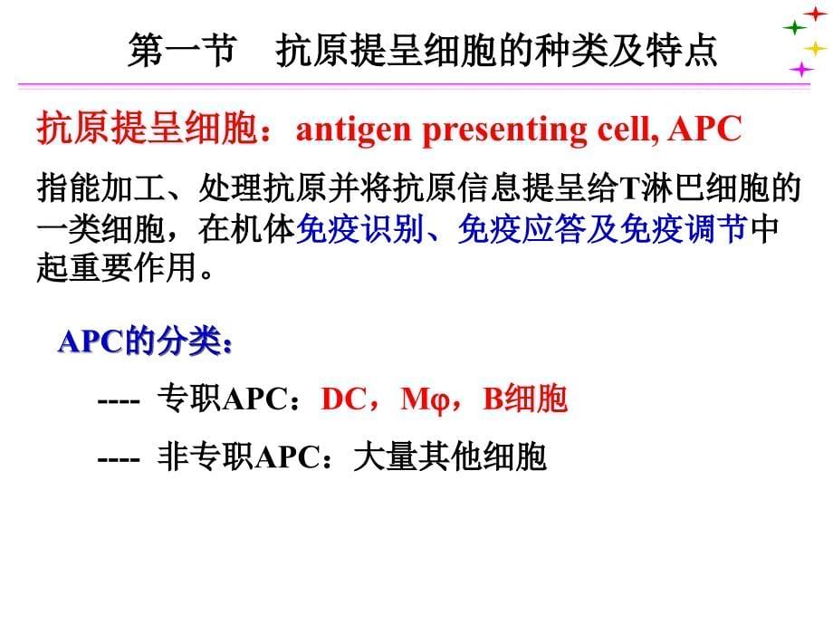 [免疫学]apc及抗原的处理与提呈_第5页