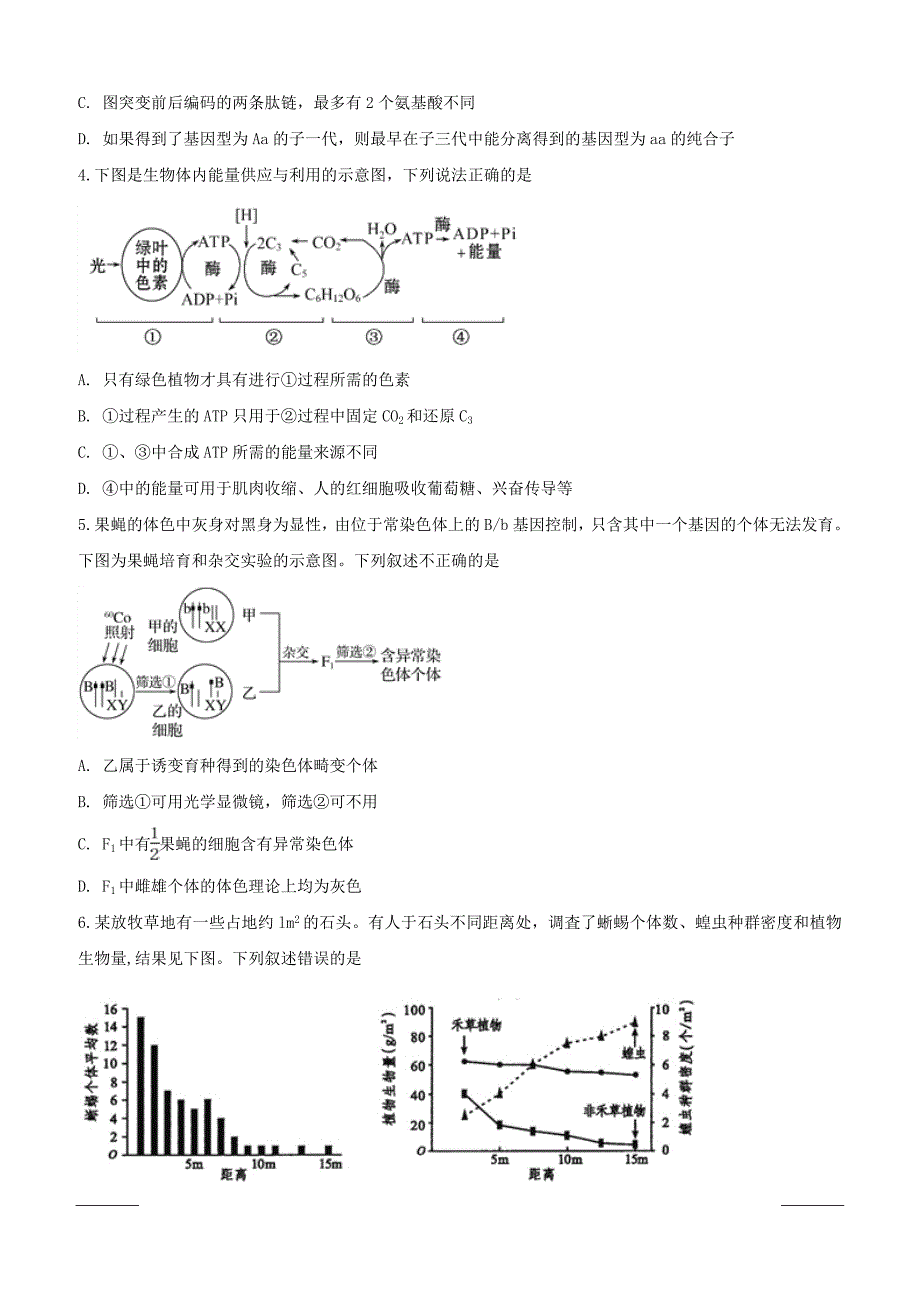 安徽省肥东县高级中学2019届高三5月高考模拟考试试理科综合试题附答案_第2页