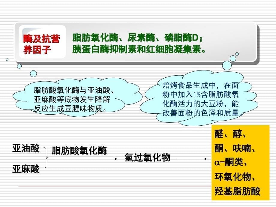 粮油加工课件第九章 大豆加工_第5页