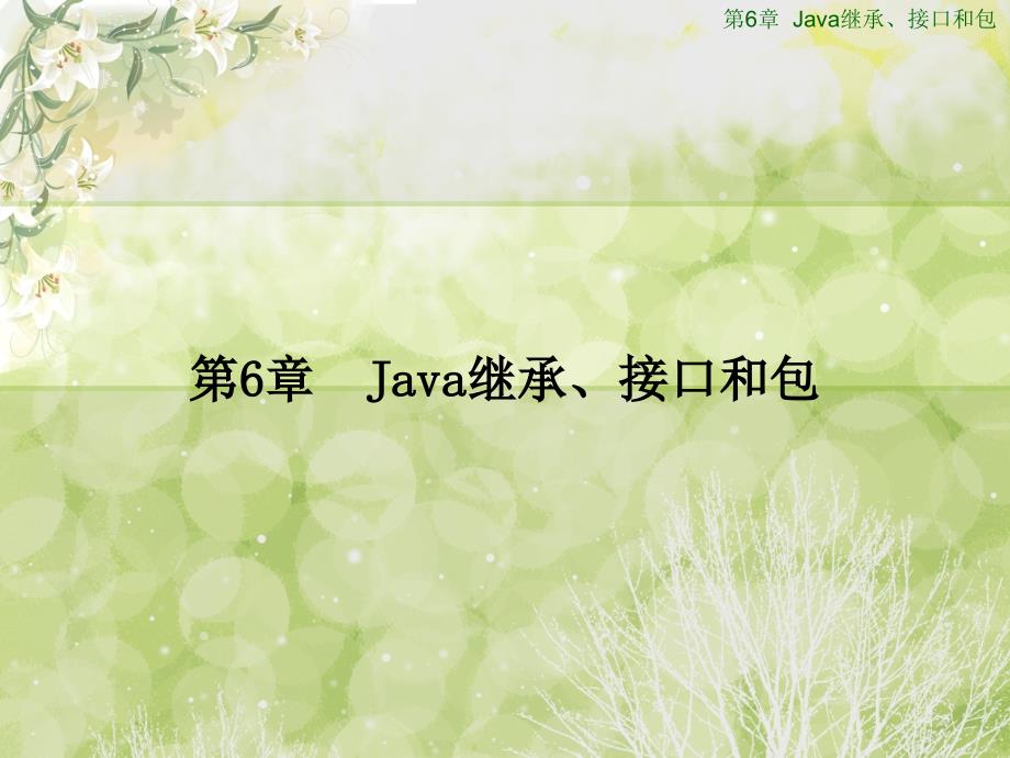 Java 程序设计 第6章_第1页