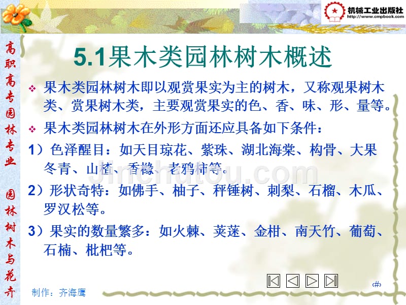 园林树木与花卉 教学课件 ppt 作者 齐海鹰 第5章 果木类园林树木_第3页