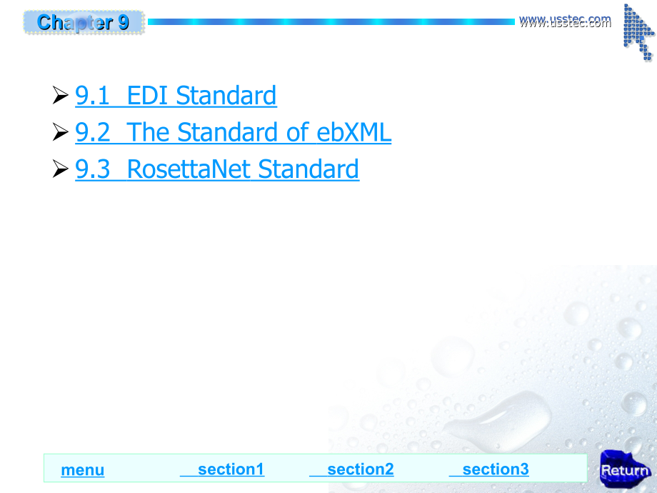 Principles&Practice of E-Commerce  杨坚争 Chapter9  E-Commerce Standard Systems for Application_第2页