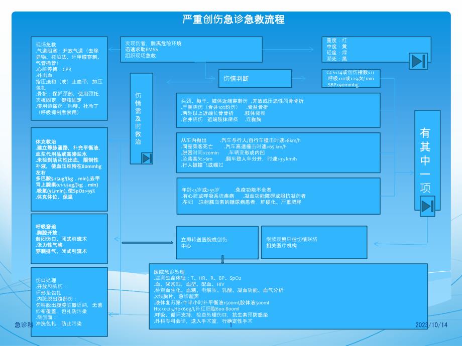 严重创伤急诊急救流程_第1页