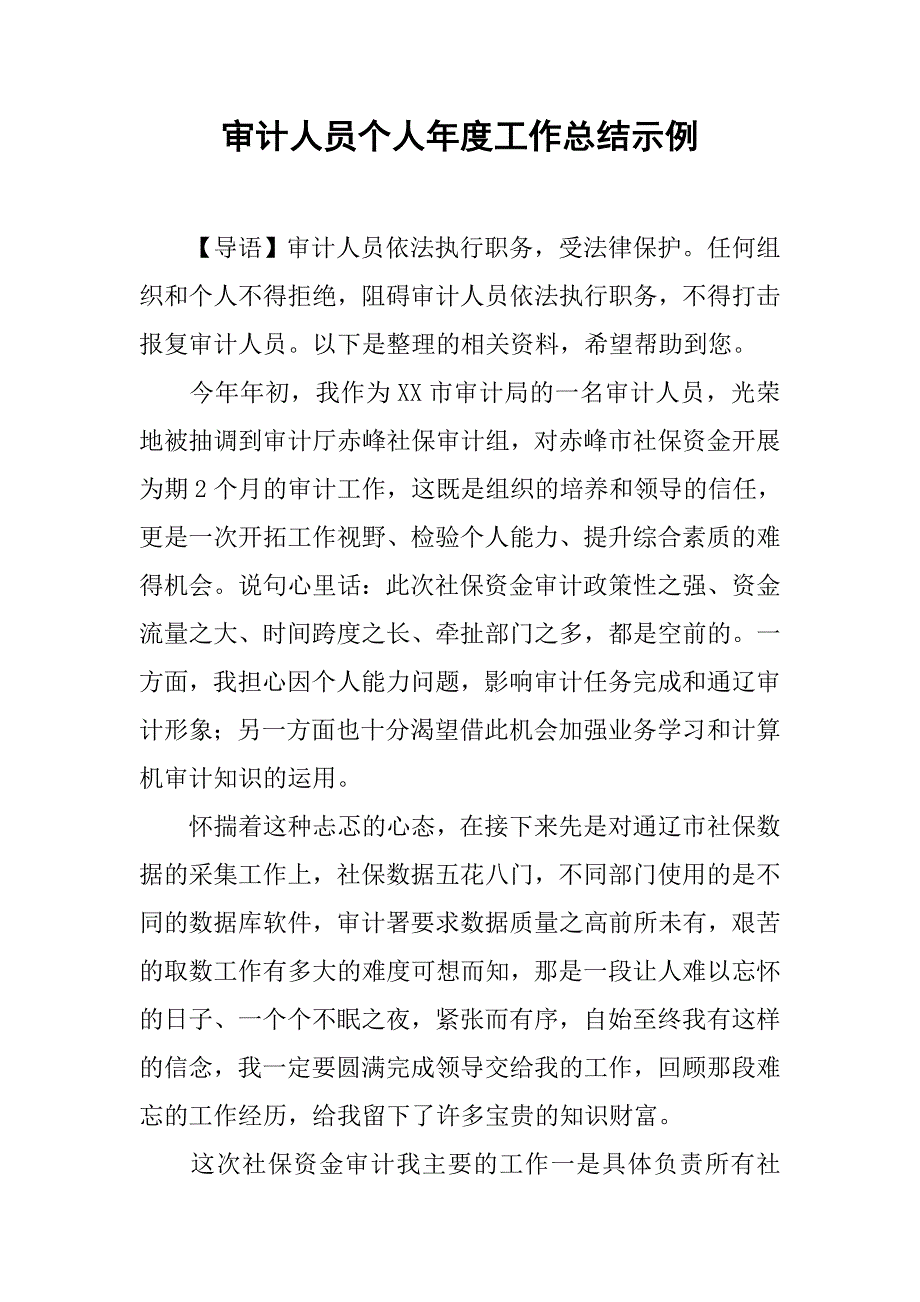 审计人员个人年度工作总结示例_第1页