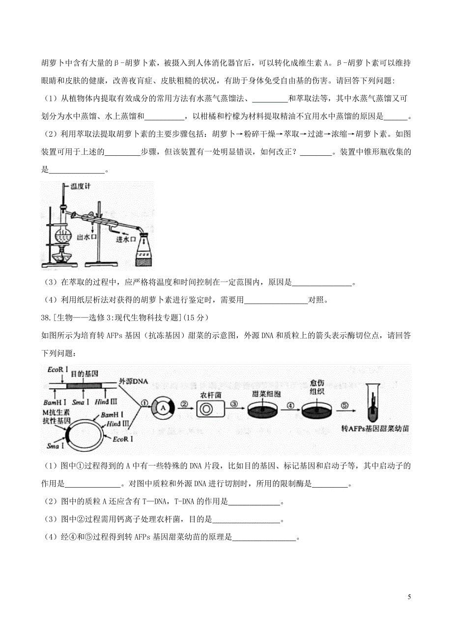 【全国校级联考word】【衡水金卷】2018年普通高等学校招生全国统一考试模拟试题理综(三)生物试题_第5页