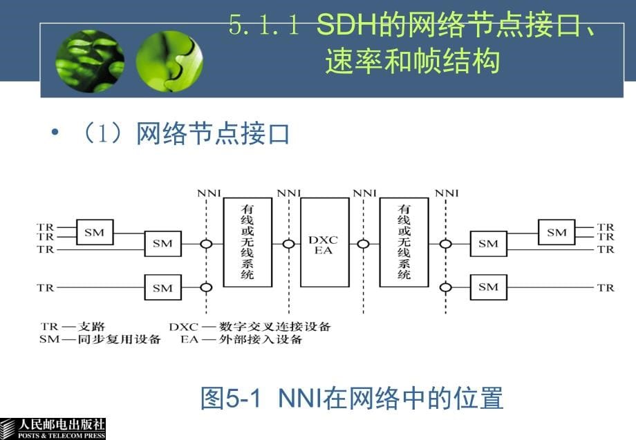 光纤通信技术 第3版  普通高等教育“十一五”国家级规划教材 北京市精品教材  教学课件 ppt 作者  孙学康 张金菊 第5章 光同步数字传输网_第5页