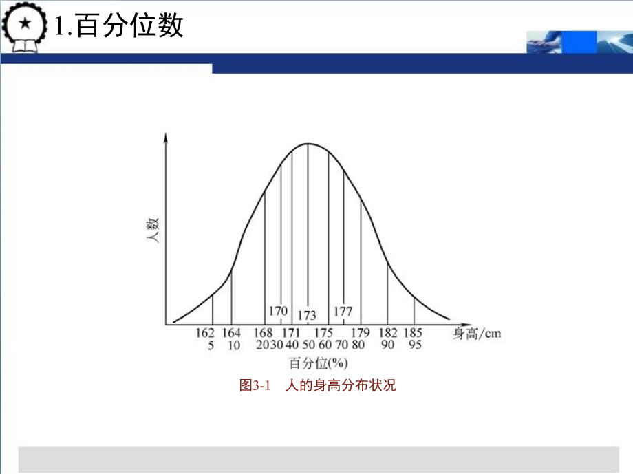 汽车车身设计 教学课件 ppt 作者 羊拯民 第三章　人机工程学在汽车车身设计中的应用_第4页