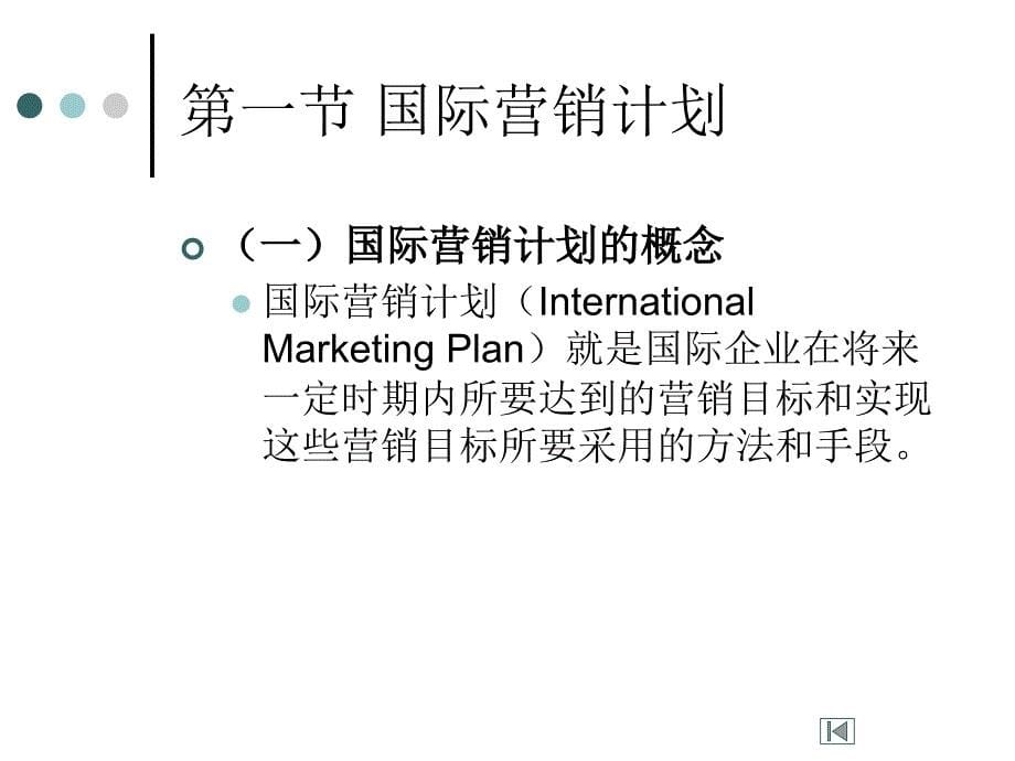 国际市场营销学 教学课件 ppt 作者 成爱武 11_第5页