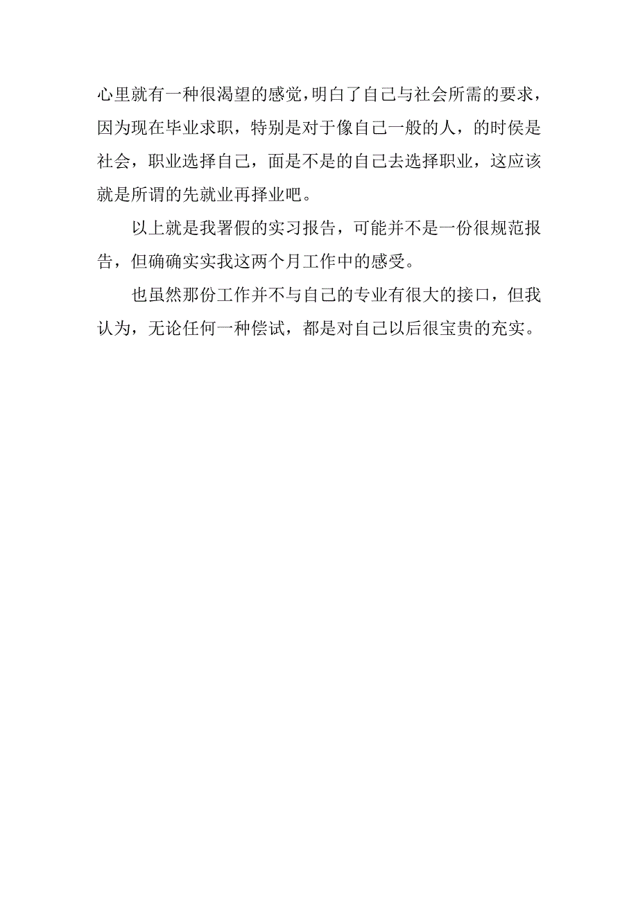 暑假电子商务实践报告心得_第3页